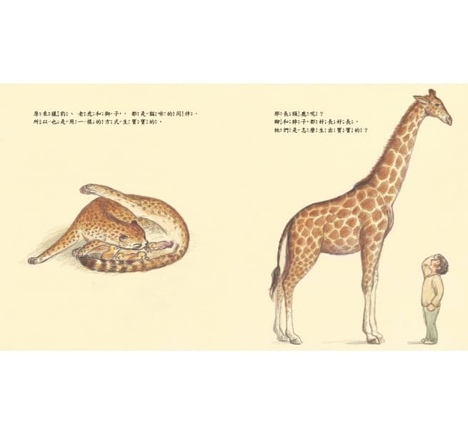 動物寶寶是怎麼出生的？
